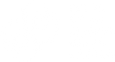 Palau de musica